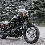 Killer custom｜2014 FXDB-02