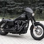 Killer custom｜2014 FXDB-06