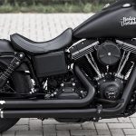 Killer custom｜2014 FXDB-08