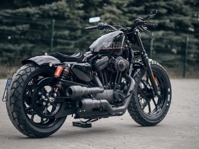 Killer Custom｜2015 XL1200T