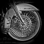 Mammoth ホイール EVOスポーク