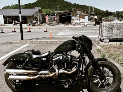 ハーレーダビッドソン】ワイルド・スポーツスター完成
