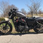 DK-Custom｜Sportster 15