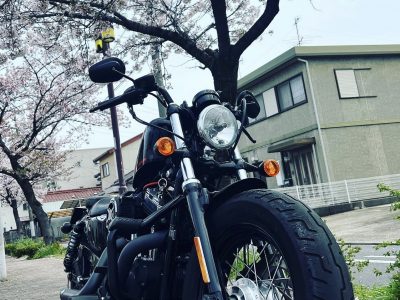 xl1200x forty eight カスタマイズ