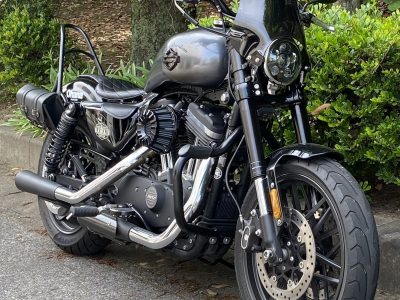 Harley-Davidson スポーツスター カスタム・ギャラリー - 3