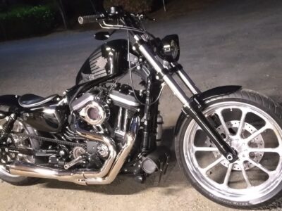 XL1200X 48