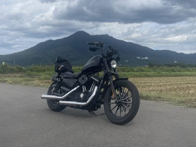 COBRA RACE PRO TIPS 3インチ スリップオンマフラー