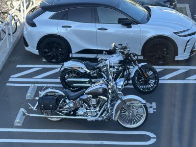 ソフテイルデラックス