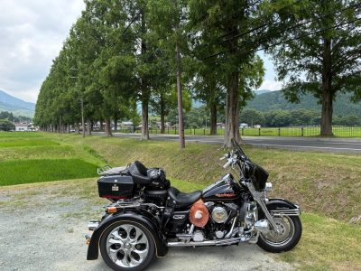 ローキンエボトライク