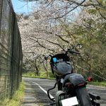 IMG_4186.jpeg
