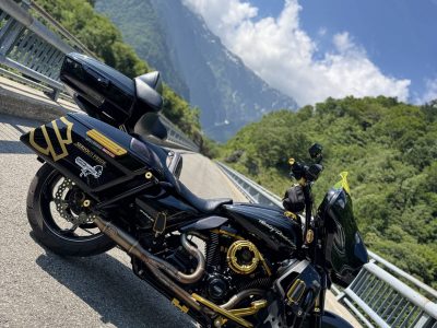 タンデム仕様performance bagger