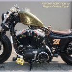 DK-Custom｜Sportster 03