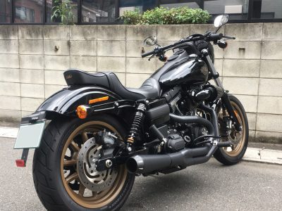 2017　FXDLS