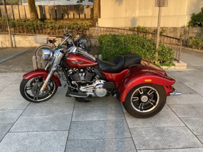 2018 FLRT