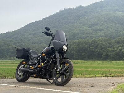 FXBB STREET BOB2020