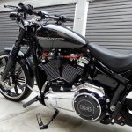 2018FXBRS-03